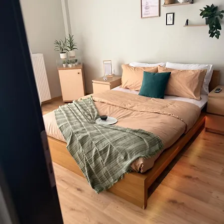 公寓 Cozy Garden 塞萨洛尼基